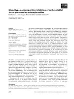 Tài liệu Báo cáo khoa học: Mixed-type noncompetitive inhibition of anthrax lethal factor protease by aminoglycosides ppt