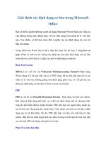 Tài liệu Giải thích các định dạng cơ bản trong Microsoft Office ppt