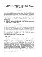 Tài liệu BÁO CÁO 