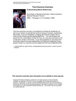 Tài liệu Understanding Marine Biodiversity (Free Executive Summary) pdf