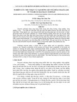 Tài liệu BÁO CÁO 