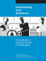 Tài liệu Understanding Toxic Substances - An Introduction to Chemical Hazards in the Workplace docx