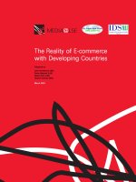 Tài liệu The Reality of E-commerce with Developing CountriesPrepared ppt