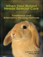 Tài liệu When Your Rabbit Needs Special Care Traditional and Alternative Healing Methods pdf