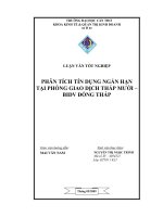 Tài liệu LUẬN VĂN TỐT NGHIỆP 