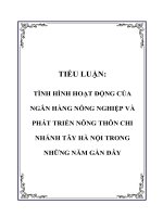 Tài liệu TIỂU LUẬN: TÌNH HÌNH HOẠT ĐỘNG CỦA NGÂN HÀNG NÔNG NGHIỆP VÀ PHÁT TRIỂN NÔNG THÔN CHI NHÁNH TÂY HÀ NỘI TRONG NHỮNG NĂM GẦN ĐÂY pdf