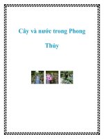 Tài liệu Cây và nước trong Phong Thủy pot