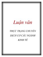 Tài liệu Luận văn: THỰC TRẠNG CHUYỂN DỊCH CƠ CẤU NGÀNH KINH TẾ doc