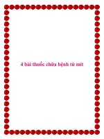 Tài liệu 4 bài thuốc chữa bệnh từ mít. doc