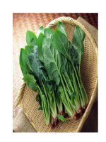 Tài liệu Bài thuốc dưỡng mắt, sáng mắt pptx