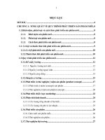 Quy trình phát triển sản phẩm mới tại các công ty đa quốc gia và bài học áp dụng cho các doanh nghiệp vừa và nhỏ ở việt nam