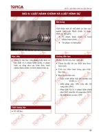 Tài liệu Bài 6: Luật Hành chính và Luật Hình sự ppt