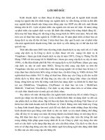 một số giải pháp để hoàn thiện chính sách sản phẩm dịch vụ của công ty vms