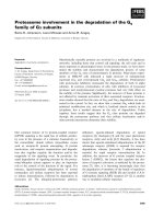 Tài liệu Báo cáo khoa học: Proteasome involvement in the degradation of the Gq family of Ga subunits pptx