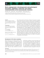 Tài liệu Báo cáo khoa học: Brain angiogenesis in developmental and pathological processes: regulation, molecular and cellular communication at the neurovascular interface pdf