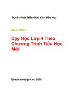 Tài liệu GIÁO TRÌNH Dạy Học Lớp 4 Theo Chương Trình Tiểu Học Mới docx