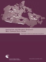 Tài liệu INNOVATION AND BUSINESS STRATEGY: WHY CANADA FALLS SHORT pptx