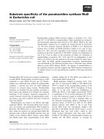 Tài liệu Báo cáo khoa học: Substrate speciﬁcity of the pseudouridine synthase RluD in Escherichia coli doc