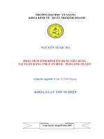 phân tích tình hình tín dụng tiêu dùng tại ngân hàng tmcp an bình – pgd long xuyên