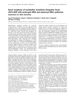 Tài liệu Báo cáo Y học: Novel complexes of mammalian translation elongation factor eEF1AÆGDP with uncharged tRNA and aminoacyl-tRNA synthetase potx