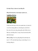 Tài liệu Kỹ thuật trồng và chăm sóc hoa đồng tiền ppt