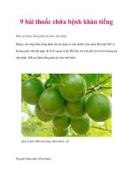 Tài liệu 9 bài thuốc chữa bệnh khàn tiếng pdf