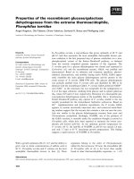 Tài liệu Báo cáo khoa học: Properties of the recombinant glucose⁄galactose dehydrogenase from the extreme thermoacidophile, Picrophilus torridus ppt
