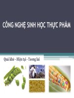 Tài liệu CÔNG NGHỆ SINH HỌC THỰC PHẨM pdf