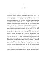 hoàn thiện pháp luật trong quản lý nhà nước về xuất cảnh, nhập cảnh ở việt nam