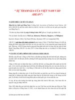 SỰ THAM GIA CỦA VIỆT NAM VÀO ASEAN
