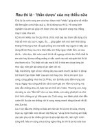 Tài liệu Rau thì là - ''''thần dược'''' của mẹ thiếu sữa pot