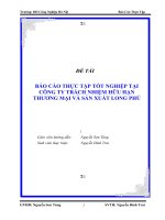 Tài liệu ĐỀ TÀI 