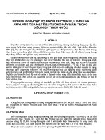 Tài liệu Báo cáo 