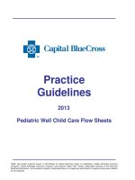 Tài liệu Practice Guidelines 2013 Pediatric Well Child Care Flow Sheets ppt