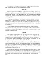 Tháng sinh của bạn nói lên điều gì ?