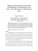 Nghiên cứu tổng hợp gốm monticellite cao mgo sio2 và ảnh hưởng của oxit fe2o3, cr2o3 đến cấu trúc và tính chất của gốm