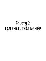 Tài liệu C9 - Thatnghiep - Lamphat pdf