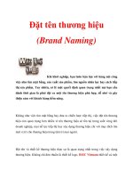 Tài liệu Đặt tên thương hiệu (Brand Naming) doc