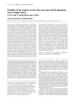 Tài liệu Báo cáo Y học: Evolution of the enzymes of the citric acid cycle and the glyoxylate cycle of higher plants pdf