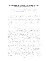 Tài liệu BÁO CÁO 