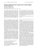 Tài liệu Báo cáo Y học: The Ikaros family protein Eos associates with C-terminal-binding protein corepressors pptx