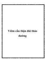 Tài liệu Viêm cầu thận đái tháo đường ppt