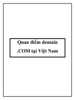 Tài liệu Quan điểm domain .COM tại Việt Nam docx