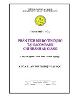 phân tích rủi ro tín dụng tại ngân hàng sacombank chi nhánh an giang