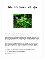 Tài liệu Kim tiền thảo trị sỏi thận ppt