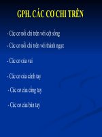 Tài liệu Bài giảng cơ chi trên doc