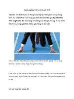 Tài liệu Doanh nghiệp Việt và kế hoạch 2013 pptx