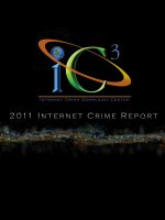 Tài liệu IC 3 INTERNET CRIME COMPLAINT CENTER: 2011 INTERNET CRIME REPORT doc