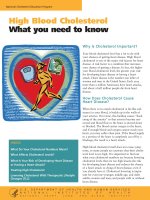 Tài liệu High Blood Cholesterol What you need to know ppt