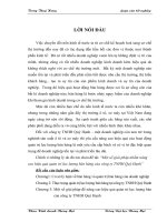 một số giải pháp nhằm nâng cao hiệu quả quản trị lực lượng bán hàng của công ty tnhh quý hạnh